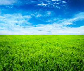 green field