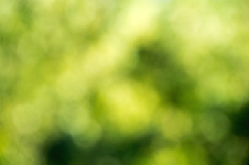 Green blurred background