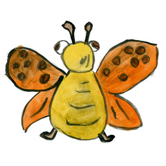 Butterfly isolated on white background