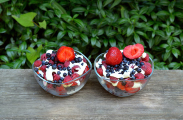 baccate spring lettuce with sour cream in tableware