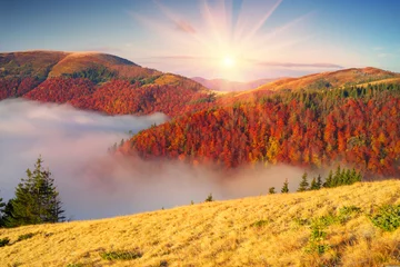 Rolgordijnen Mist in de herfst © panaramka