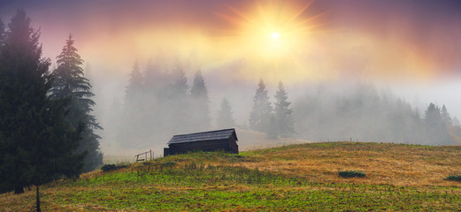 Snow fall © panaramka