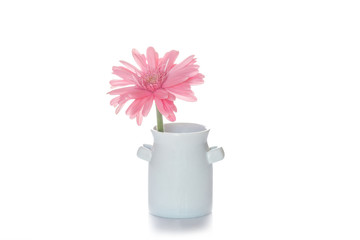 flower on the vase, isolated white background.