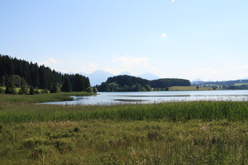 Alp Lakes in Germany, year 2009