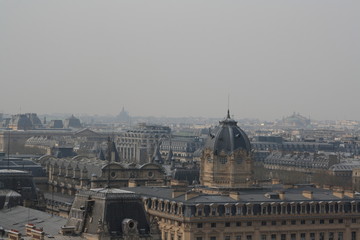 Fototapeta na wymiar The view from Notre-Dame de Paris, 2010