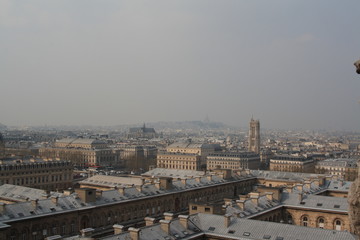 The view from Notre-Dame de Paris, 2010