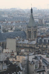 The view from Notre-Dame de Paris, 2010