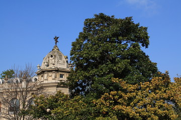 Streets of Paris, year 2010