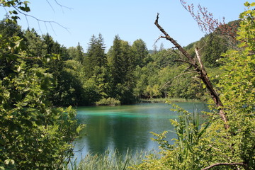 Fototapeta na wymiar Plitvicka jezera in year 2010