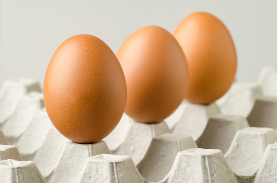 Fresh eggs on egg panel (food ingredient)