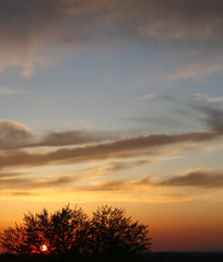 Fototapeta na wymiar Beautiful evening sky