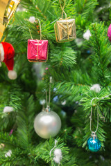 The Christmas tree with gift box