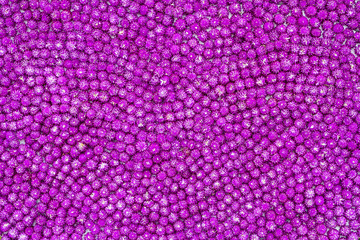 Globe amaranth or Gomphrena globosa