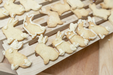 Fototapeta na wymiar Bunny Rabbit Cookies Homestyle Baking