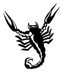 scorpion, black and white
