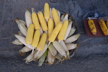 Fresh and grilled corn on roadside stall in India