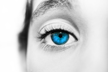 Naklejka premium A beautiful insightful look eye. Close up shot