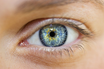 Fototapeta premium wnikliwe spojrzenie niebieskie oczy