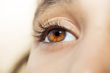insightful look brown eyes