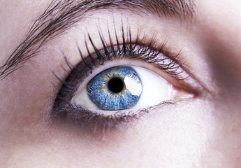 Obraz premium Beautiful insightful look blue woman's eyes