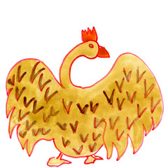 Rooster isolated on white background