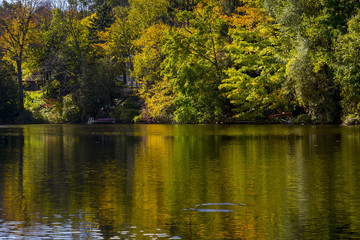 Fototapeta na wymiar Reflective Still Pond in Autumn