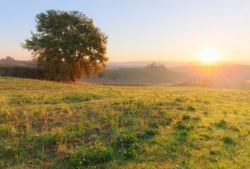 Fototapeta premium Countryside landscape at beautiful sunrise