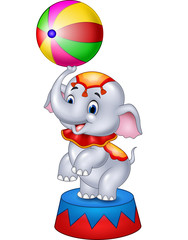 Cute Circus elephant with a striped ball stands on a podium  