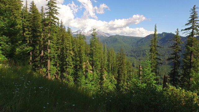 Aerial Oregon Mt Jefferson