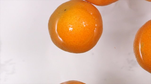 floating in the water tangerines slow motion