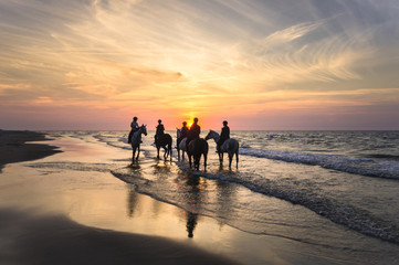 Jeźdźcy na koniach jadący brzegiem morza o zachodzie słońca 
