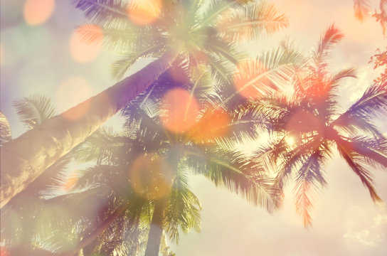 Blur tropical palm tree double exposure with color bokeh light abstract background.