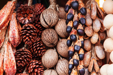Dry pine cones and other seeds