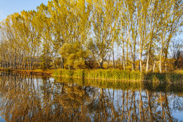 Struma river, Bulgaria
