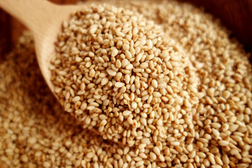 sesame