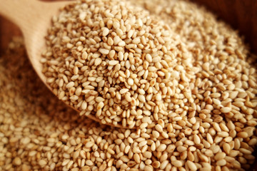 sesame