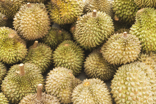 Asian Durian Fruit In Kep Cambodia Market