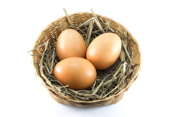 eggs in basket with grass on white background