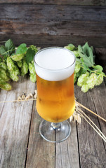 Light beer and hops