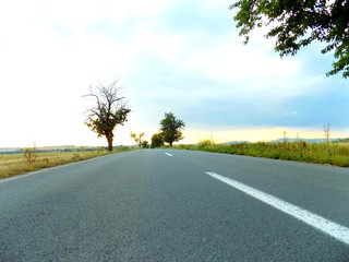 Fototapeta premium Asphalt road