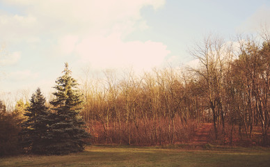 Vintage photo of a park