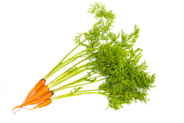 Bunch of baby carrots isolated on white background