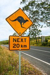 Road sign indicating kangaroos ahead. Australia.