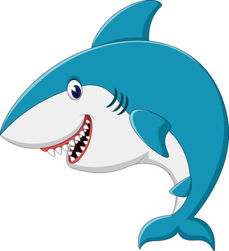 illustration of cute Shark cartoon	