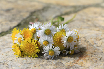 Fresh flowers