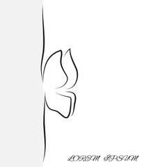 butterfly contour of the lines logo