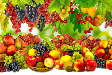 image of  ripe fruits close-up