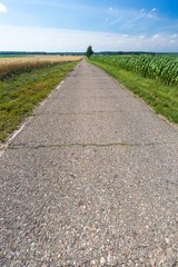 Asphalt road near fields