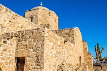 Panagia Chrysopolitissa Basilica in Paphos - Cyprus