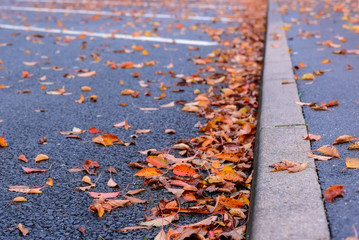 Autumn leaves lying in a parking lot
